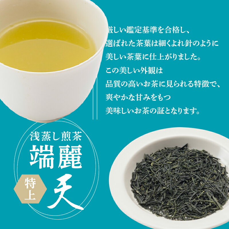 【ふるさと納税】【 新茶 】鹿児島特上煎茶 深蒸し 浅蒸し 飲み比べ セット 計200g 100g × 2 詰め合わせ 【 期間限定 2024年6月30日まで 】煎茶 茶葉 日本茶 緑茶 お茶 茶 厳選 逸品 鹿児島茶 特上 バラエティ 端麗 彩緑 焙煎 上品 飲料 鹿児島市 送料無料【熨斗対応可】