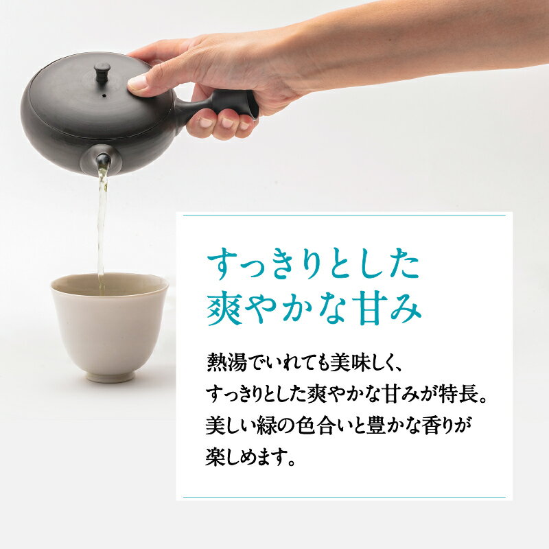 【ふるさと納税】【 新茶 】茶問屋のあまくておいしい鹿児島茶 【内容量が選べる】 3本 5本 セット 【 期間限定 2024年6月30日まで 】 鹿児島市 日本茶 緑茶 鹿児島茶 お茶 茶 茶葉 リーフ ティー すっきり 爽やか 甘み たっぷり上品 パック 詰合せ 贈り物 お土産 新原製茶