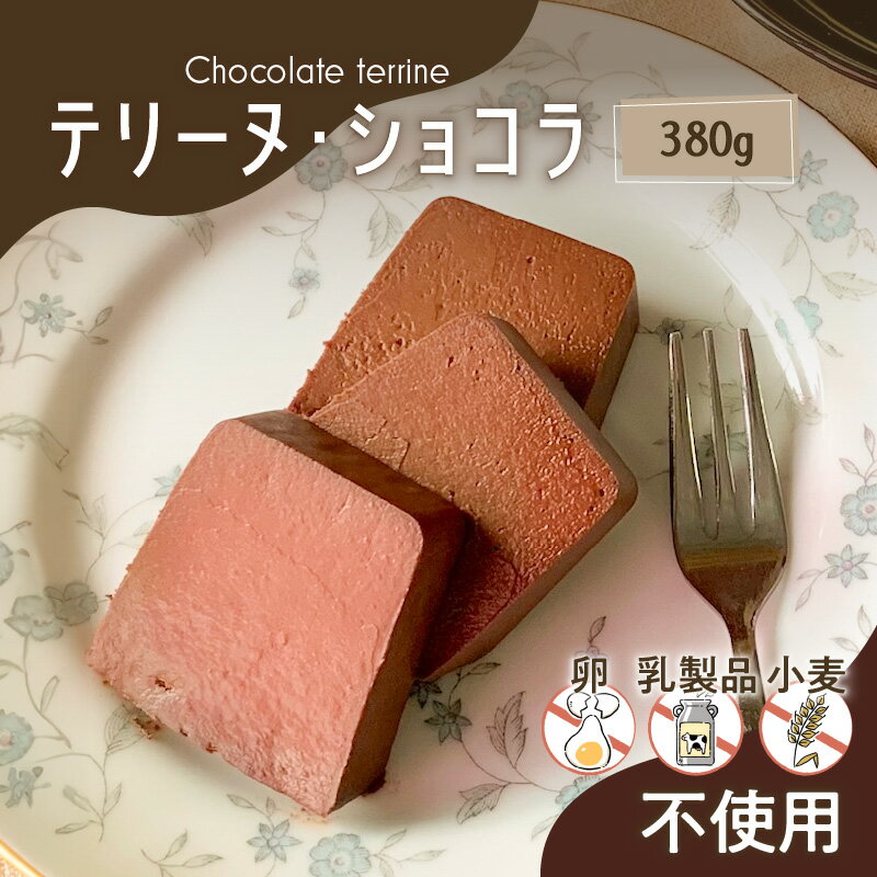 [ 洋菓子 ] テリーヌ ・ ショコラ 送料無料 数量限定 チョコレート ケーキ 菓子 スイーツ 甘い 手作り 冷凍 Tigre Chocolat 鹿児島市 土産 贈り物 プレゼント ギフト 贈答