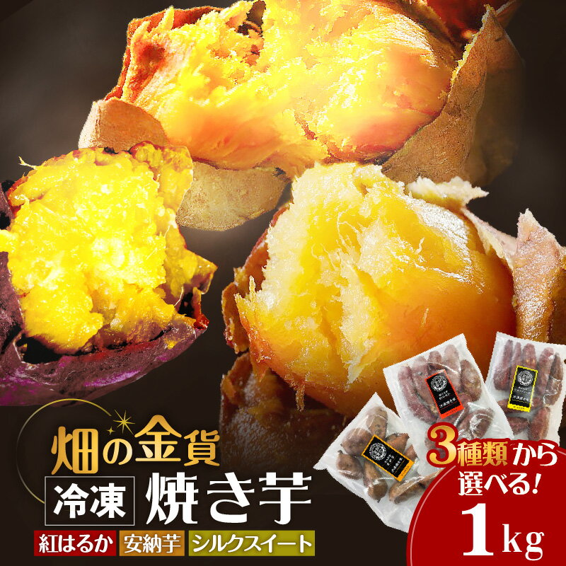 【ふるさと納税】畑の金貨 選べる 冷凍 焼き芋 1kg 送料無料 鹿児島市 九州 国産 お取り寄せ 特産品 地域の品 お礼の品 お土産 贈り物 ギフト 蜜芋 さつまいも 紅はるか 安納芋 シルクスイート 産地直送 甘いも販売所 甘芋 スイーツ スイートポテト デザート