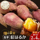 【ふるさと納税】 畑の金貨 生芋 紅はるか 容量が選べる 2kg or 4kg 送料無料 さつまいも 生 芋 野菜 長期 熟成 ねっとり しっとり 甘い 焼き芋...
