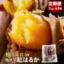 【ふるさと納税】【全5回】 畑の金貨 焼き芋 紅はるか 1kg 定期便 送料無料 冷凍 甘い 完熟 熟成 糖度 蜜 芋 さつまいも 急速冷凍 冷凍 産地直送 甘いも販売所 甘いも 甘芋 鹿児島市 土産 贈り物 プレゼント ギフト 贈答