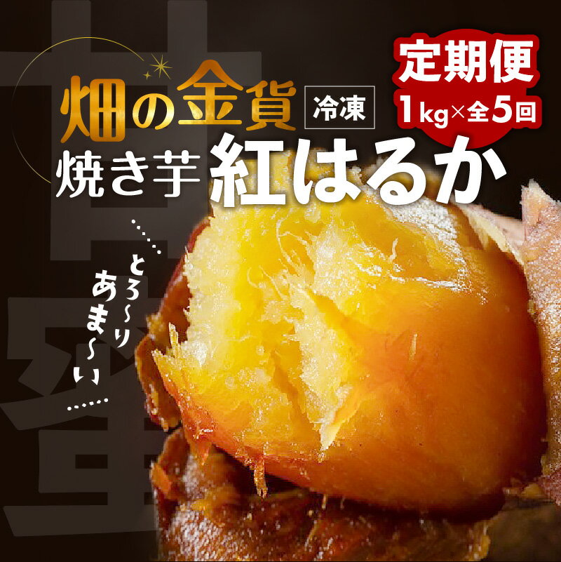 【ふるさと納税】【全5回】 畑の金貨 焼き芋 紅はるか 1kg 定期便 送料無料 冷凍 甘い 完熟 熟成 糖度 蜜 芋 さつまいも 急速冷凍 冷凍 産地直送 甘いも販売所 甘いも 甘芋 鹿児島市 土産 贈り物 プレゼント ギフト 贈答