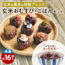 8位! 口コミ数「0件」評価「0」冷凍玄米おむすび・玄米ごはんセット ふるさと納税 鹿児島市 玄米 お米 米 おこめ こめ おむすび パックご飯 ご飯 ごはん モチモチ もち･･･ 