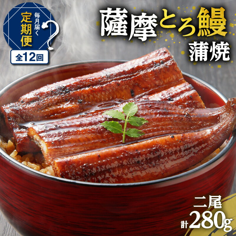 【ふるさと納税】【全12回定期便】薩摩 とろ鰻 蒲焼 二尾 送料無料 鹿児島市 九州 国産 冷凍 お取り寄せ 特産品 地域の品 お礼の品 お土産 贈り物 プレゼント ギフト 手作り 手仕事 職人 こだわり うなぎ かば焼き ひつまぶし うな丼 丼 うな重 贈答 お返し 御返し 定期