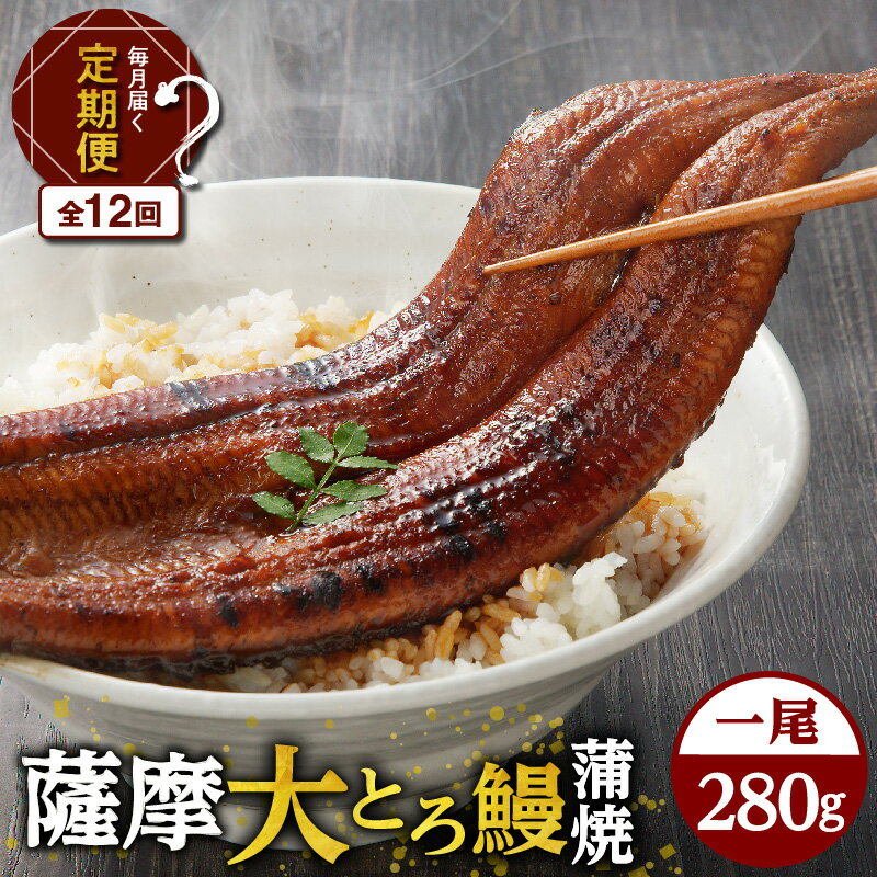 【ふるさと納税】【全12回定期便】薩摩 大とろ鰻 蒲焼 特大サイズ 一尾 送料無料 鹿児島市 九州 国産 冷凍 お取り寄せ 特産品 地域の品 お礼の品 お土産 贈り物 プレゼント ギフト 手作り 手仕事 職人 こだわり うなぎ かば焼き ひつまぶし うな丼 丼 うな重 贈答 定期