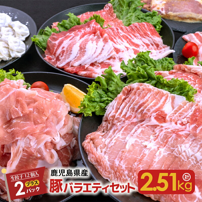 鹿児島県産 豚 バラエティ セット 2.51kg + 生 餃子 2P 送料無料 鹿児島市 九州 お取り寄せ 特産品 お土産 贈り物 プレゼント ギフト 肉 ブランド 甘熟 南国 スイート 肩 ロース バラ スライス 小間切れ 味噌漬け 冷凍