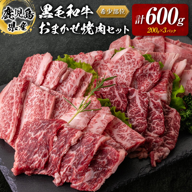 【ふるさと納税】 鹿児島県産 黒毛和牛 おまかせ 焼肉 600g 送料無料 鹿児島市 九州 お取り寄せ 特産品 お土産 贈り物 プレゼント ギフト 肉 希少 部位 厳選 ミスジ 三角バラ ショートリブ フ…