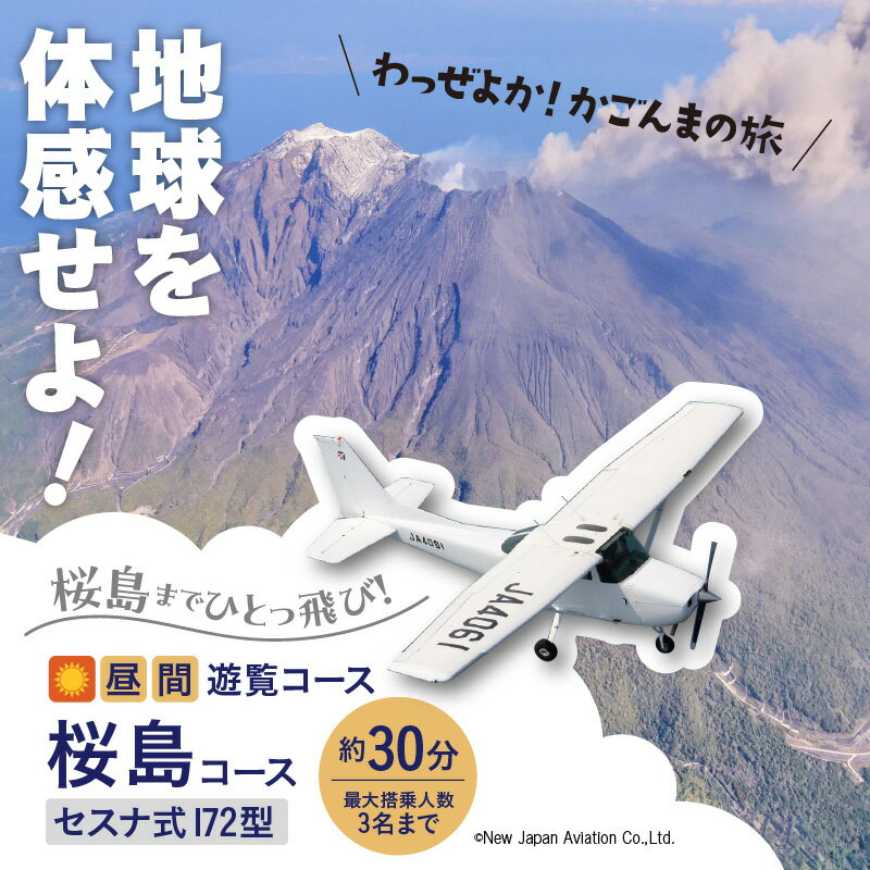 【ふるさと納税】【昼間遊覧飛行】 桜島 コース セスナ式 172型（大人3名まで） 送料無料 旅行 観光 景色 写真撮影 遊覧 空 チケット 錦江湾 鹿児島市 土産 贈り物 プレゼント ギフト 贈答その2