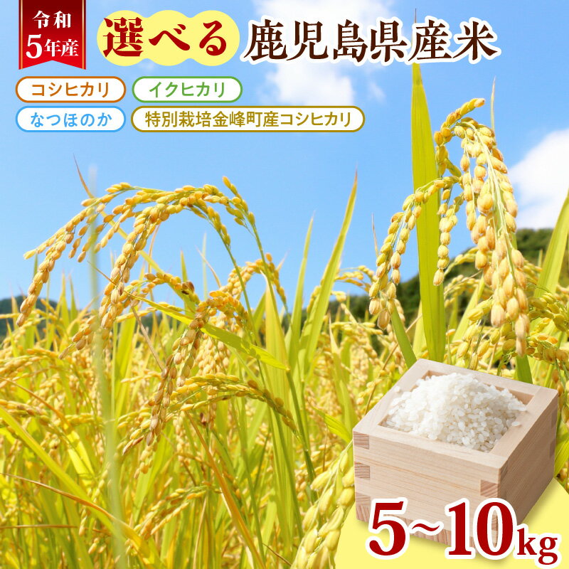 【ふるさと納税】【10月1日価格改定（値上げ）予定】令和5年産 新米 選べる 鹿児島...