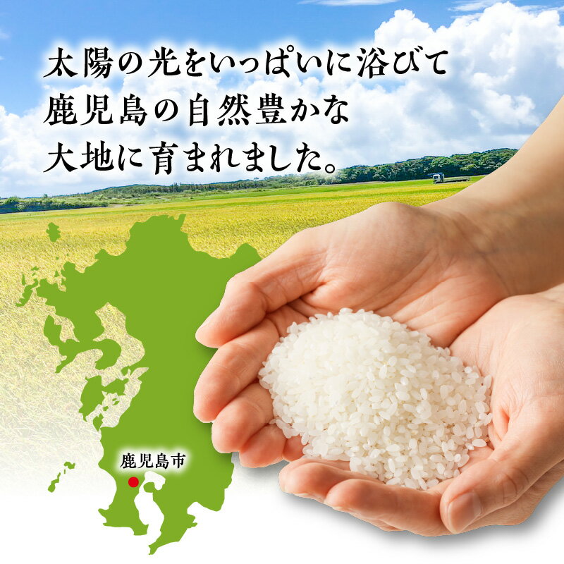 【ふるさと納税】 令和5年産 鹿児島県 あきほなみ 5kg～ 選べる ！ 送料無料 お米 白米 ライス ご飯 おにぎり おむすび 精米 無洗米 もっちり 品種 新米 鹿児島市 九州 贈り物 プレゼント ギフト 土産