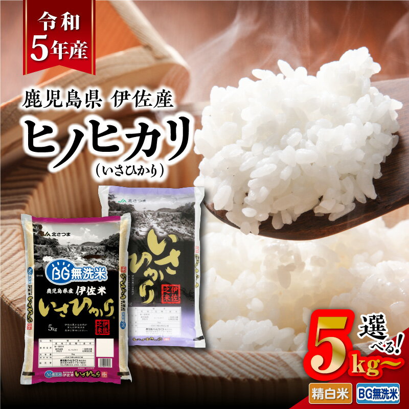 令和5年産 鹿児島県 伊佐産 ヒノヒカリ ( いさひかり ) 5kg〜 選べる ! 送料無料 お米 白米 ライス ご飯 おにぎり おむすび 精米 無洗米 もっちり 品種 新米 鹿児島市 九州 贈り物 プレゼント ギフト 土産