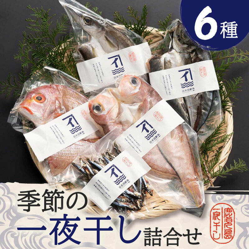 季節の一夜干し 詰合せ 6種 甘鯛 キビナゴ 真アジ カマス レンコ鯛 イトヨリ 一夜干し 干物 魚 魚介 加工食品 熟成 酵素 旨味 濃縮 黒酒 新鮮 旬 炭火 七輪 真空 冷凍 塩分控えめ サカナカケル 鹿児島 鹿児島市 おすすめ ランキング プレゼント ギフト