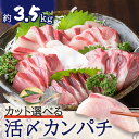 【ふるさと納税】<カット選べる> 鹿児島県産 カンパチ 約3.5kg 活〆 丸ごと セミドレス 三枚卸 フィーレ 刺身用 ブロック ロイン 魚 魚介 新鮮 かん...