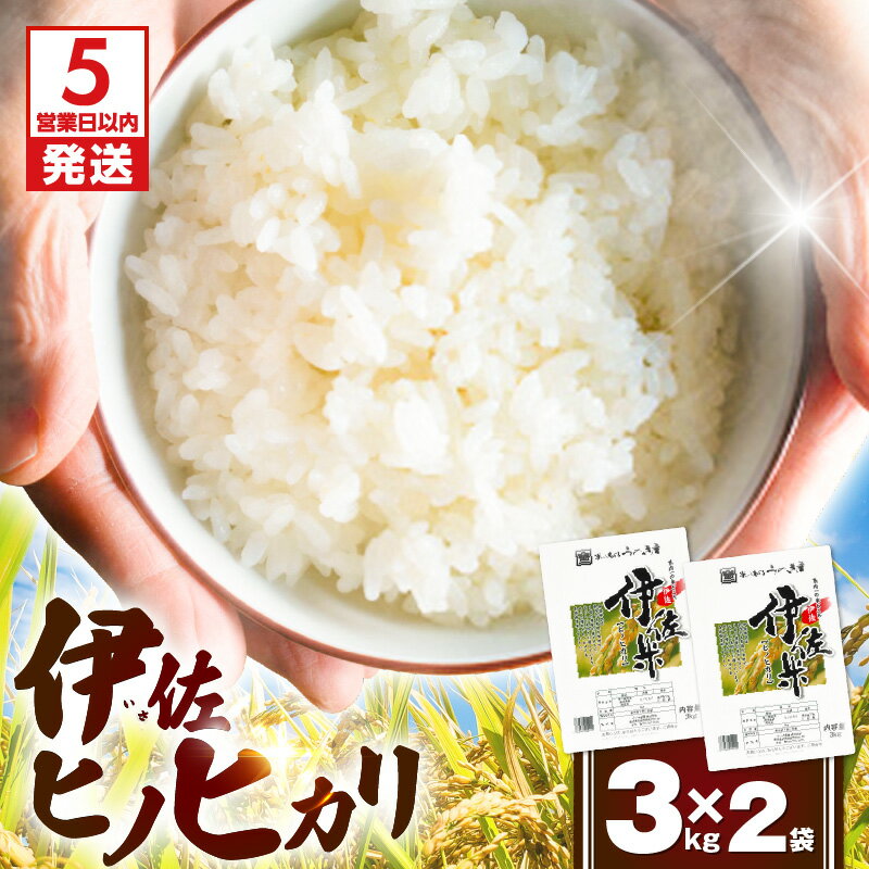 【ふるさと納税】【5営業日以内に発送】 新米 伊佐ヒノヒカリ 6kg 3kg × 2袋 ヒノヒカリ 米 お米 白米 精米 ご飯 伊佐米 ライス 炊き立て 安全 うま味 ほかほか もちもち 期間 数量 限定 うのき屋 ウノキ産業 鹿児島市 おすすめ ランキング プレゼント ギフトのサムネイル