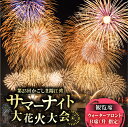 【ふるさと納税】 かごしま 錦江湾 サマーナイト 大花火大会 観覧席 ウォーターフロント B席 升 指定 花火大会 花火 観覧席 観覧チケット チケット 桜島 ...