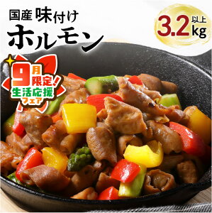 【ふるさと納税】【期間限定 生活応援】【 ナンチクファクトリー 】 国産豚 味付けホルモン 3.2kg 以上(F) 鹿児島市 国産 豚 もつ ホルモン 味付き 加工肉 加工品 惣菜 おかず 食品 時短 焼くだけ おすすめ ギフト プレゼント 焼肉 BBQ キャンプ 小分け 大容量 ボリュームの画像
