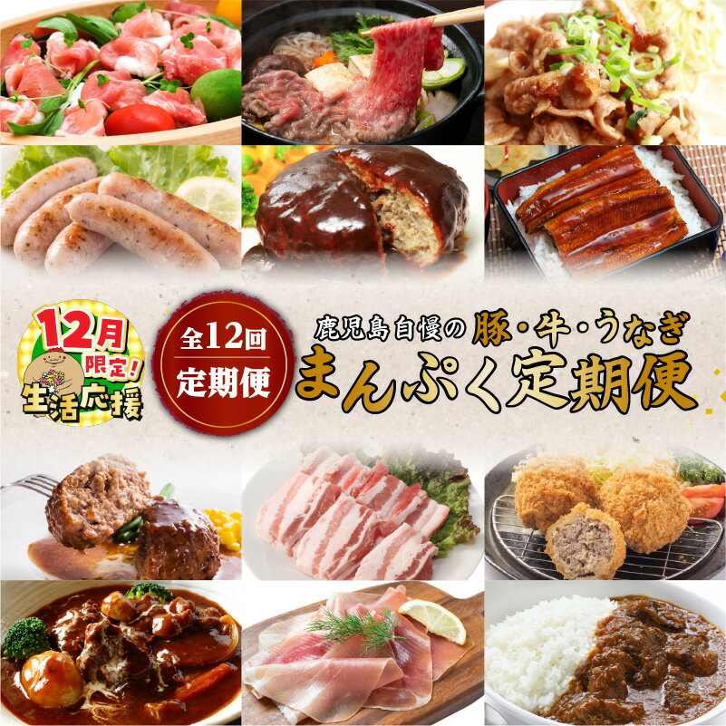 【ふるさと納税】【期間限定 生活