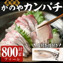 【ふるさと納税】かのやカンパチフィーレ 800g 鹿児島県産 国産 かんぱち カンパチ 海産物 魚介 刺身 カルパッチョ ブランド 出世魚 勘八【鹿屋市漁業協同組合】