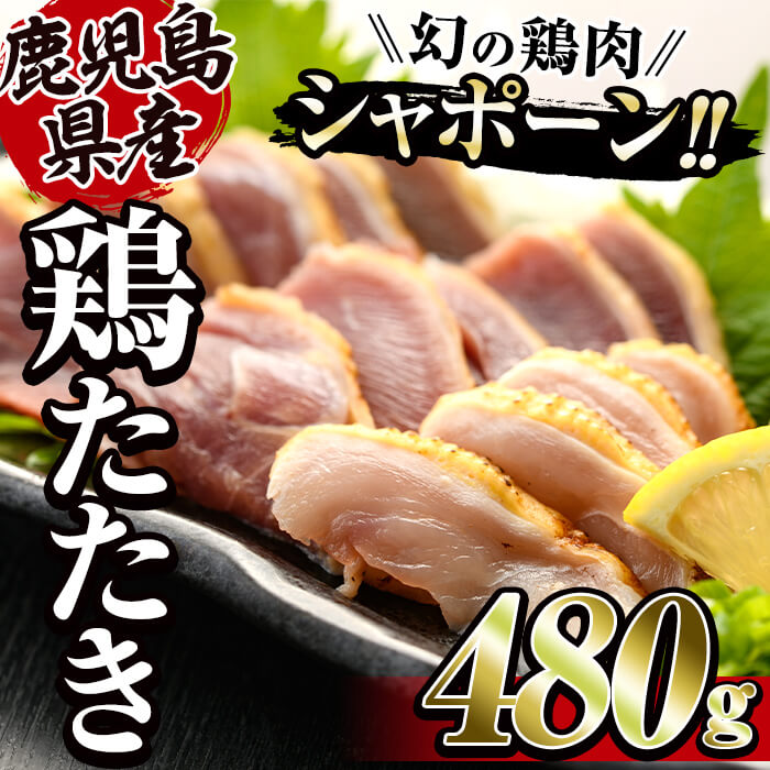【ふるさと納税】唯一の国産 幻の鶏肉 シャポーン鹿児島鶏たたき 480g(120g×4パック) 鳥刺し 国産 鶏刺し 刺身 鶏肉 鶏 鳥肉 とりさし【（株）シャポーン鹿児島鶏龍治農場】のサムネイル