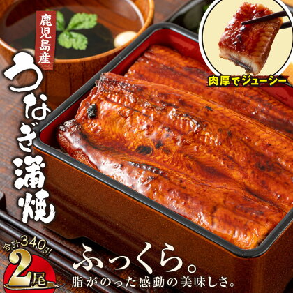 鹿児島産 うなぎ 170g×2尾 合計340g ウナギ 蒲焼き 養殖 たれ付 真空パック 湯煎 レンジ 簡単調理 国産 鹿児島県 【財宝】