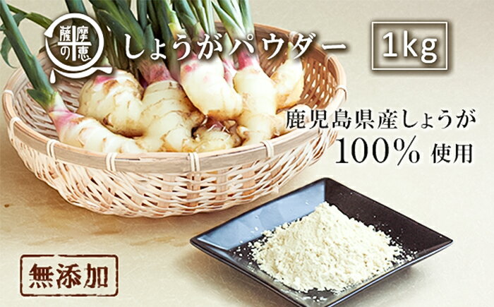 【ふるさと納税】 野菜100%パウダー しょうが（鹿児島産） 1kg【株式会社オキス】