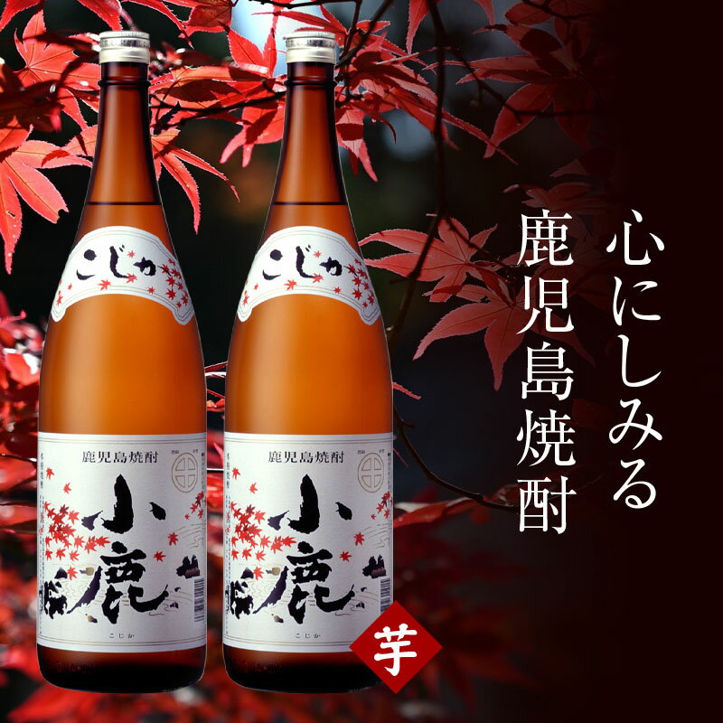 芋焼酎「小鹿」一升瓶計2本(1.8L×2本)白麹の華やかな香りとすっきりとした甘みの本格芋焼酎!お湯割り、水割り、炭酸水割にも![財宝]