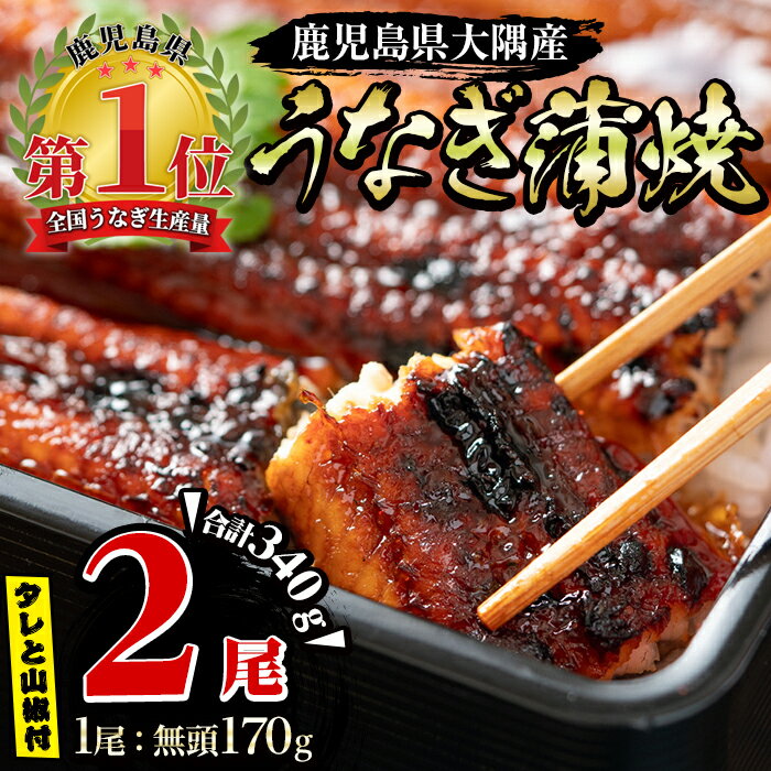 【ふるさと納税】＜国産＞ 大隅特産うなぎ蒲焼2尾(計340g［170g×2尾］) たれ・山椒付き！無頭真空パックのウナギ蒲焼き！湯煎または電子レンジで温めるだけでうなぎ本来の美味しさを味わえます！【株式会社寺園商店】