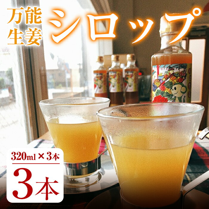 10位! 口コミ数「0件」評価「0」【数量限定】万能生姜シロップ合計960ml(320ml×3本入) 鹿屋産の有機生姜と奄美の砂糖、希少糖を使った手作りのしょうがシロップ【マー･･･ 