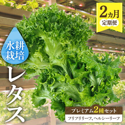 【定期便全2回】【農薬不使用】洗わずに食べられるプレミアム水耕栽培レタス5袋を2ヶ月分（5袋×2ヶ月＝10袋） 鹿児島 サラダ 野菜 やさい レタス 定期便【旭信興産】