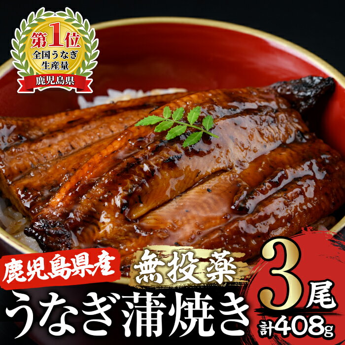 【ふるさと納税】＜国産＞ 鹿児島県大隅産！うなぎの蒲焼き3尾(計408g・136g×3尾)うなぎのたれ・山椒付き！無投薬にこだわり！鰻丼やひつまぶしにも！真空パックでお届け！【西日本養鰻】