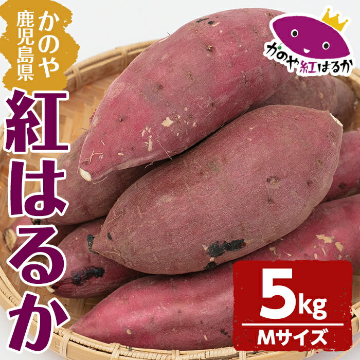 【ふるさと納税】 「かのや紅はるか」生芋 Mサイズ 5kg（1個当たり約130g〜200g、約31個前後） 定められた栽培基準等をクリアした濃厚でしっとりとした食感の紅はるか【有限会社南橋商事】