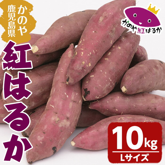 「かのや紅はるか」生芋 Lサイズ 10kg（1個当たり約200g～340g、約40個前後） 定められた栽培基準等をクリアした濃厚でしっとりとした食感の紅はるか【有限会社南橋商事】