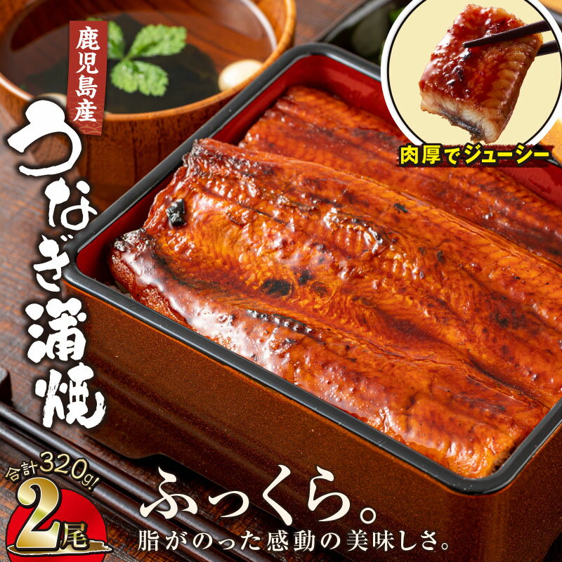 【ふるさと納税】【土用の丑の日対応7/7入金まで】鹿児島産うなぎ160g×2尾 合計320g 国産ウナギ 冷凍 真空パック たれ付 山椒付き 鰻かば焼き うな重 ひつまぶし【財宝】のサムネイル