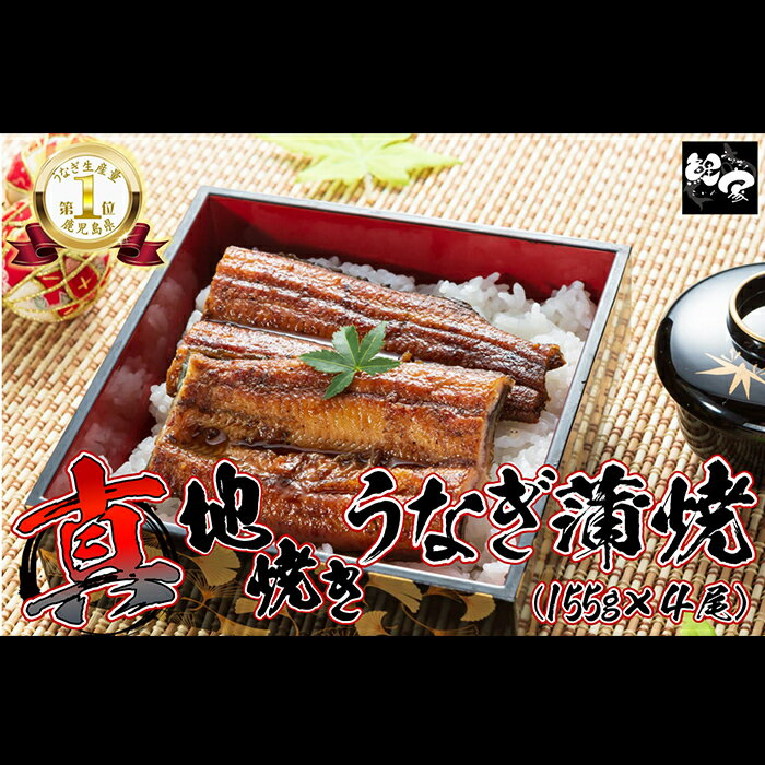 [土用の丑の日対応6/30入金まで]鯉家の絶品蒲焼 真地(マジ)焼きうなぎ蒲焼(無頭)(計620g・4尾×155g) 秘伝タレ・山椒付き!熟練の職人たちが備長炭で丁寧に手焼き![株式会社 鯉家]