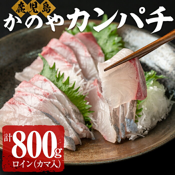 その他水産物(カンパチ)人気ランク1位　口コミ数「30件」評価「4.83」「【ふるさと納税】かのやカンパチロイン（カマ入）合計800g(かんぱち スキンレスロイン（骨・皮なし）2柵　合計700g、かんぱち カマ 100g×1個) 鹿児島県産 国産 かんぱち カンパチ かま 海産物 魚介 刺身 カルパッチョ ブランド【鹿屋市漁業協同組合】」