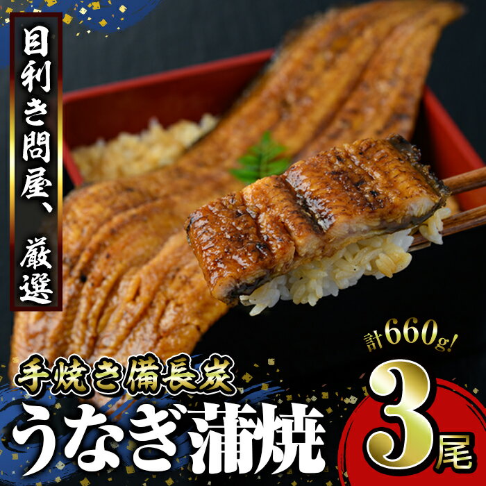 【ふるさと納税】うなぎ問屋の 備長炭手焼 うなぎ蒲焼　特大3尾660g 特製タレ・山椒付き！タレと炭の香り豊かな備長炭焼き鰻の蒲焼！【大隅うなぎ販売有限会社】のサムネイル
