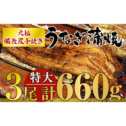 【土用の丑の日対応7/7入金まで】 ＜国産＞ 備長炭手焼うなぎの蒲焼 特大3尾 計660g 特製タレ・山椒付き！タレと炭の香り豊かな備長炭焼き鰻の蒲焼！【大隅うなぎ販売有限会社】