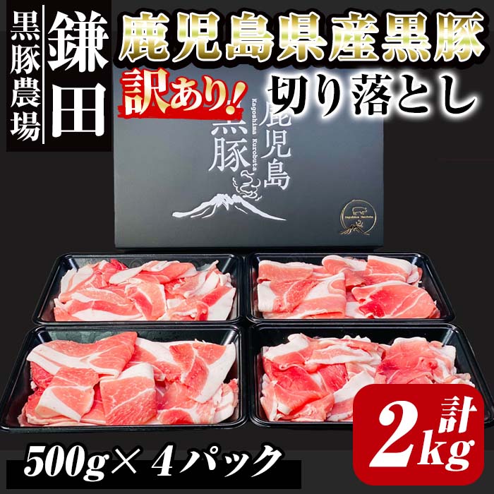 40位! 口コミ数「1件」評価「2」【訳あり】鹿児島県産黒豚 切落し 計2kg（500g×4パック） 生産から肥育まで一貫して行っている黒ぶた農場のお肉を使用！小分けで料理する･･･ 