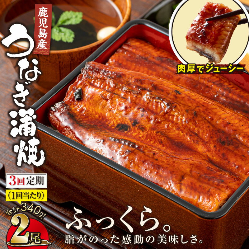 【ふるさと納税】 【定期便 全3回】うなぎ 蒲焼 鹿児島産 鰻 170g 2尾 ×3回 合計 1020g (340g×3回) 地下水で育った 絶品 蒲焼き 養殖 本場 鹿児島 より 直送 たれ 付 真空パック 湯煎 レンジ 簡単調理 国産 国産うなぎ 定期 うなぎ蒲焼 鹿児島県 鹿屋市 【財宝】のサムネイル