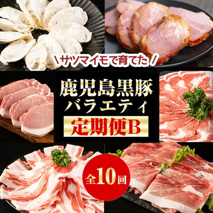 ＜国産＞ 【定期便】黒豚バラエティふるさと定期便B【全10回】しゃぶしゃぶ、焼肉、とんかつ肉、焼豚、餃子を1ヶ月ごとに10 回お届け！豚肉 トンカツ ぎょうざ 国産【和田養豚】