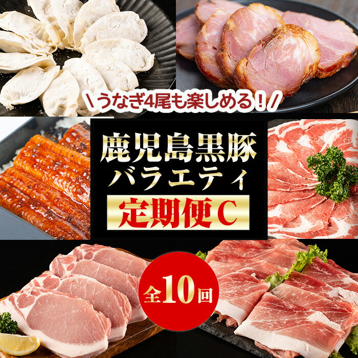 [国産] [定期便]黒豚バラエティふるさと定期便C[全10回]しゃぶしゃぶ、焼肉、とんかつ肉、焼豚、餃子を1ヶ月ごとに10 回お届け!鹿児島県産うなぎも!豚肉 鰻 トンカツ ぎょうざ 国産[和田養豚]