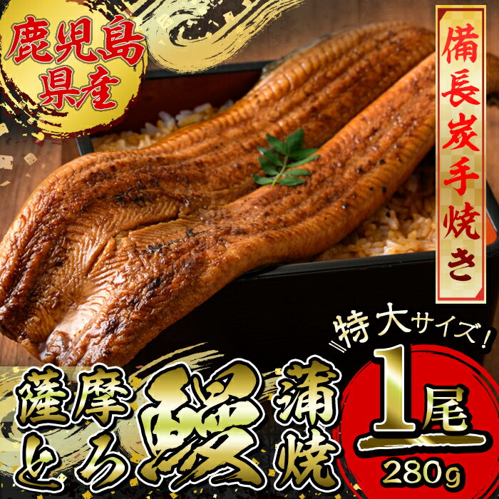 薩摩とろ鰻蒲焼特大サイズ1尾 280g 国産ウナギ 冷凍 たれ付 山椒付き 鰻かばやき うなぎ蒲焼 鹿屋市 鹿児島県産 [志]