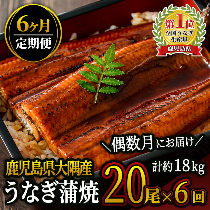 【ふるさと納税】 【定期便全6回・偶数月にお届け】 鹿児島県大隅産うなぎ蒲焼(計3kg・20尾、たれ・山...