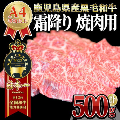 うしの中山 霜降り 焼肉 用 500g （500g×1パック） 和牛 黒毛和牛 牛肉 【株式会社nixy 中山亭 鹿屋店】