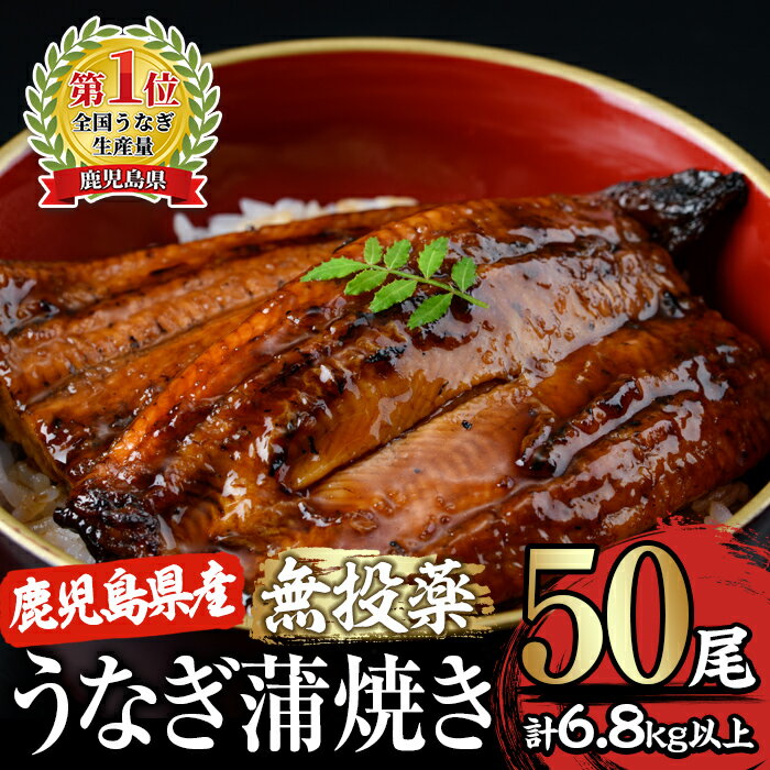 17位! 口コミ数「0件」評価「0」【土用の丑の日対応6/30入金まで】＜国産＞ 鹿児島県大隅産！無頭 うなぎ蒲焼 50尾（計6.8kg） ［1尾あたり136g以上］うなぎのた･･･ 