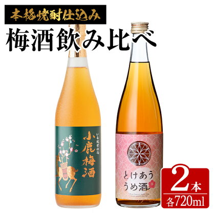 梅酒 本格焼酎 仕込み 飲み比べ 1440ml （720ml × 2本) 国産 鹿屋産 梅酒 飲み比べ ロック ソーダ割り 青梅 完熟梅 【マーケティングビー】