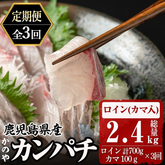 製品仕様 名称 【3ヶ月定期便】かのやカンパチロイン（カマ入） 内容量 毎月1回　計3回連続でお届け かんぱち　スキンレスロイン（骨・皮なし）2柵　合計700g かんぱち　カマ　100g　1個 　 賞味期限 5日 　 原産地 鹿児島県産 　 加工地（製造地） 鹿屋市 発送時期について 入金確認後、翌月末までに初回発送。 2回目以降は、初回発送の翌月より毎月1回発送。 注意事項 ※長期不在のご予定がある場合は、10日前までにご連絡ください。 事前にご連絡いただいていない長期不在等により返礼品をお受取りできなかった場合、再発送はできません 原材料名 カンパチ 　 アレルギー 特定原材料7品目および特定原材料に準ずる21品目は使用していません 配送方法 冷蔵 事業者名 鹿屋市漁業協同組合 商品説明 鹿屋市古江町は錦江湾東岸に位置し、流れの速い黒潮が絶え間なく流れ込む、カンパチ養殖には最適な環境です。 水深の深いミネラル豊富な海に、海のゆりかごと言われるアマ（海草）を育成し、健やかな環境の中で身が引き締まった元気なカンパチを育てています。 カンパチ半身を背側と腹側2つにカットし、皮がはいであるので調理も簡単です。 臭みがなく、適度に脂がのったプリプリのカンパチのお刺身は、ごま油と塩でも美味しくお召し上がりいただけます。 カマは塩焼きや竜田揚げにも最適です。上品な味わいをご堪能ください。 ・ふるさと納税よくある質問はこちら ・寄附申込みのキャンセル、返礼品の変更・返品はできません。あらかじめご了承ください。「ふるさと納税」寄附金は、下記の事業を推進する財源として活用してまいります。 寄付を希望される皆さまの想いでお選びください。 (1) 地域の資源を生かした「地域経済活性化プロジェクト」 (2) 健康・福祉の充実による「すこやか・あんしんプロジェクト」 (3) 教育・文化・スポーツの振興「人材育成プロジェクト」 (4) 豊かな自然を次代に引き継ぐ「環境保全プロジェクト」 (5) 都市圏等のふるさと出身者との連携を強化する「ふるさと会活力推進事業」 (6) その他市長が必要と認める事業 入金確認後、注文内容確認画面の【注文者情報】に記載の住所にお送りいたします。 発送の時期は、寄附確認後2〜3週間程度を目途に、お礼の特産品とは別にお送りいたします。