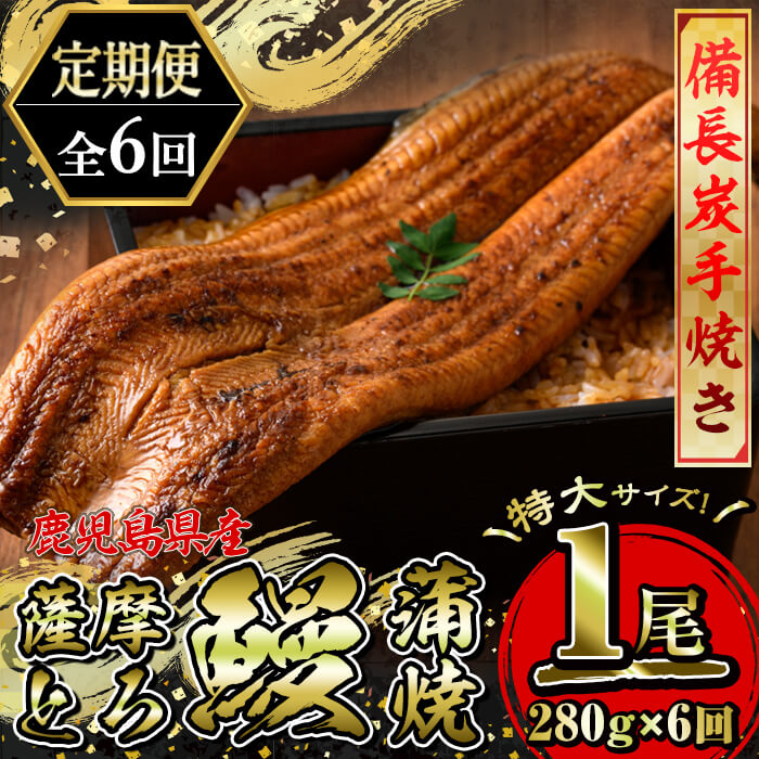 [定期便6回]薩摩とろ鰻蒲焼特大サイズ1680g[1尾(280g)×6回]、たれ・山椒付!鹿児島県産の鰻を定期便で ♪国産ウナギ 冷凍 たれ付 山椒付 鰻かばやき うなぎ蒲焼 定期便[志]