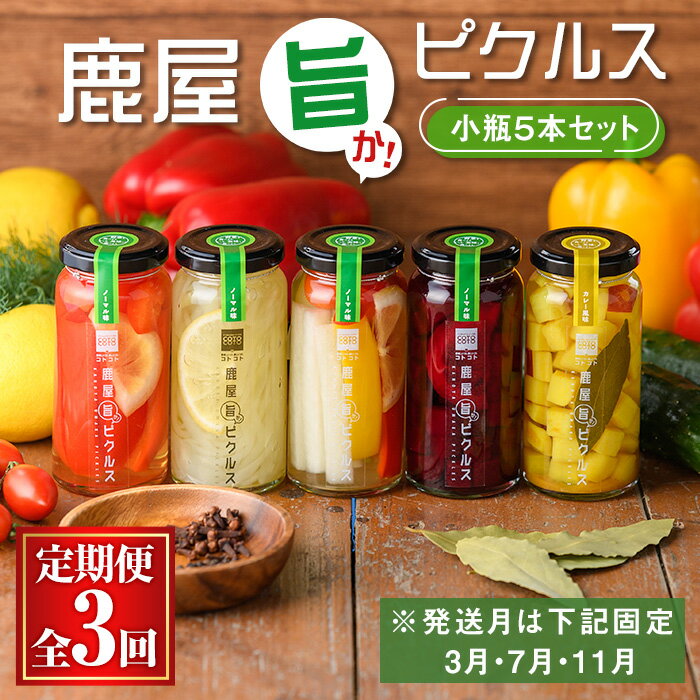 [定期便全3回]鹿屋旨か!ピクルス小瓶5本セット 800g(160g×5本) ピクルス 瓶 酢 野菜 サラダ おつまみ お弁当 ドレッシング セット ミックス ビーツ 紅はるか[3月・7月・11月発送][COTO COTO]